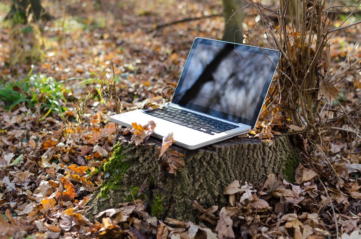 Ein Laptop steht auf einem Baumstamm.