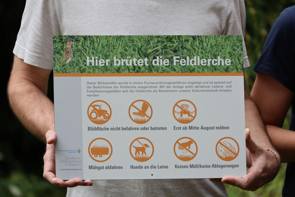 Das Schild mit dem Titel: Hier brütet die Feldlerche