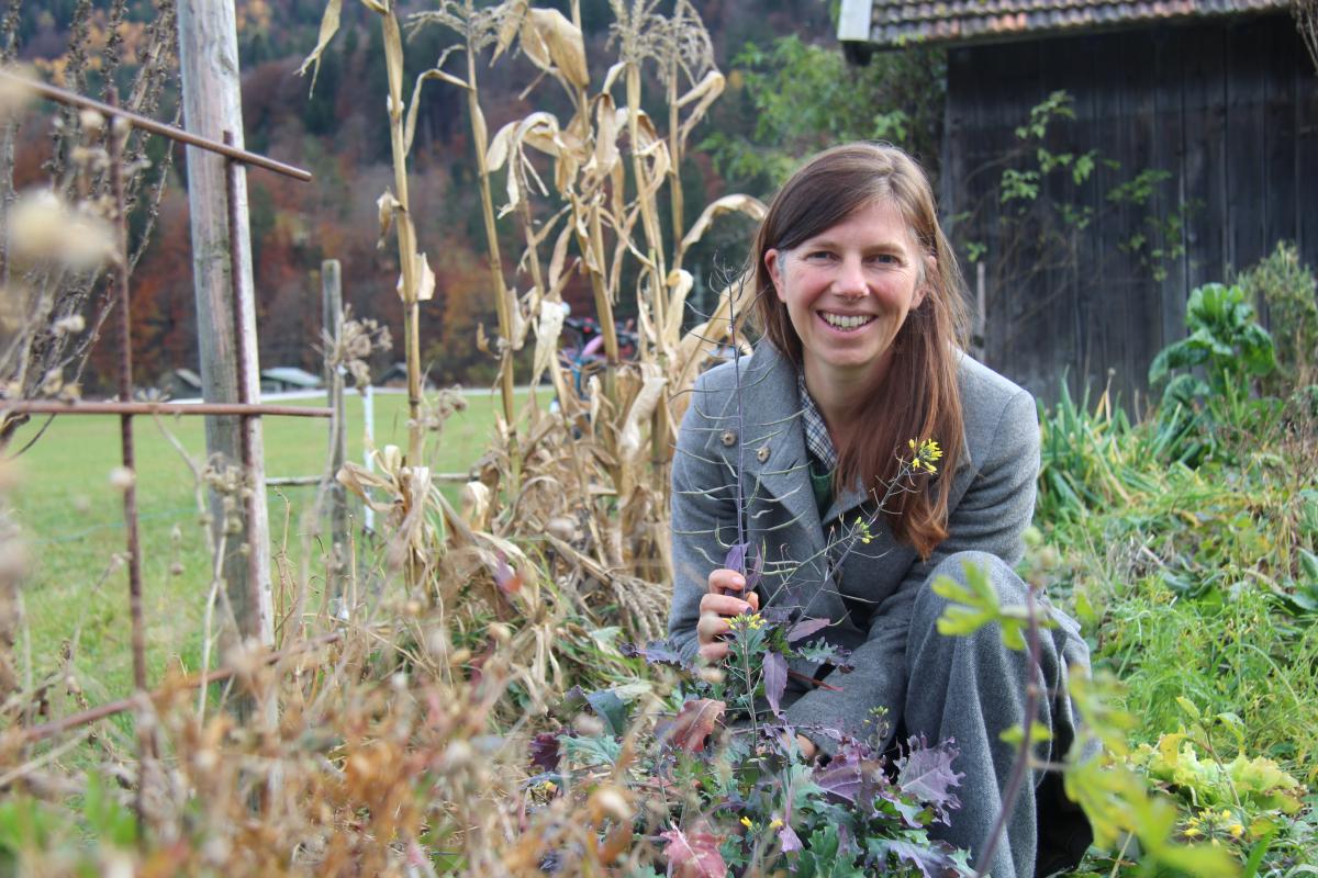 Streuobstwiesen als Schatzkammern der Vielfalt