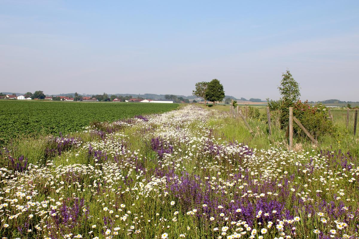 Land.Gemeinsam.Gestalten.