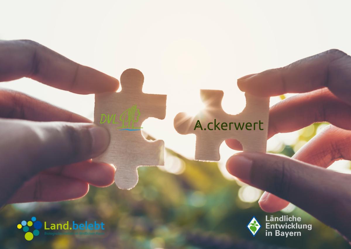 Kooperationsmodell A.ckerwert