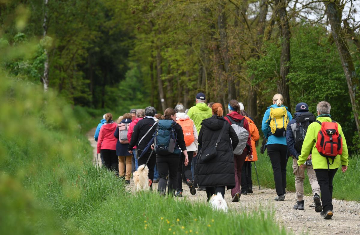 Das Anwandern ist eine Aktion der Initiative Rodachtal und lädt dazu ein, die Region aktiv zu entdecken.
