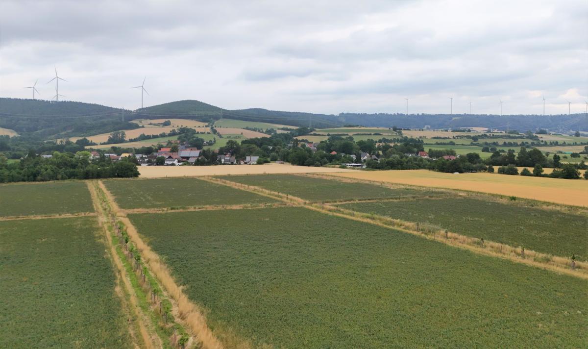 aus der Luftperspektive kann man die Unterteilung der Ackerflächen durch die Baumreihen gut erkennen