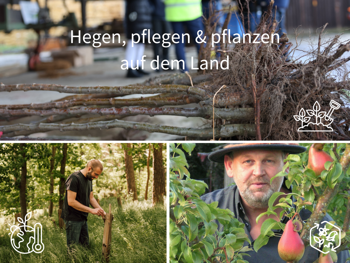 Landes- und Gartenpflege