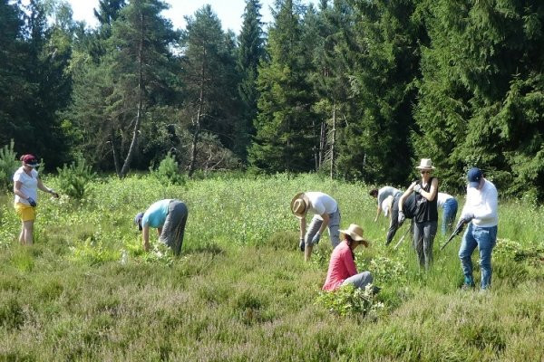 Land.Gemeinsam.Gestalten.