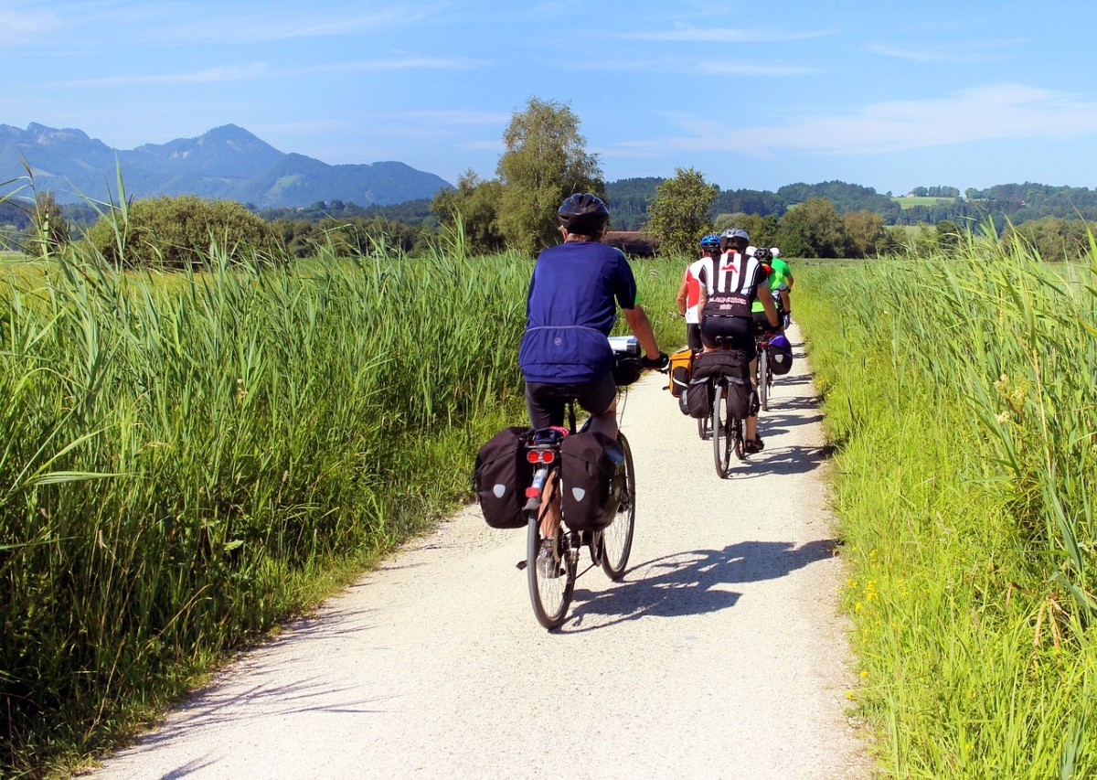 Zwei Fahrradfahrer radeln auf einer Landstraße