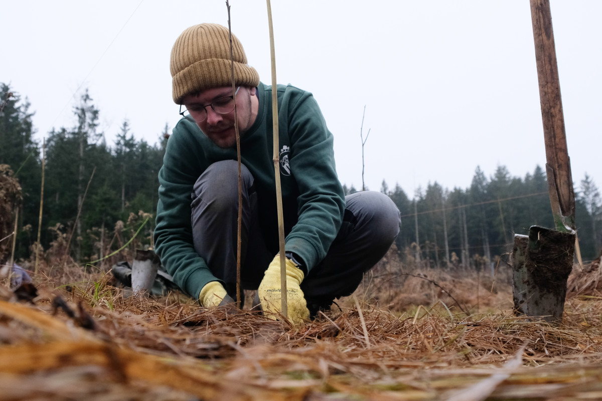 TreePlantingProjects feiern 100.000. Baum