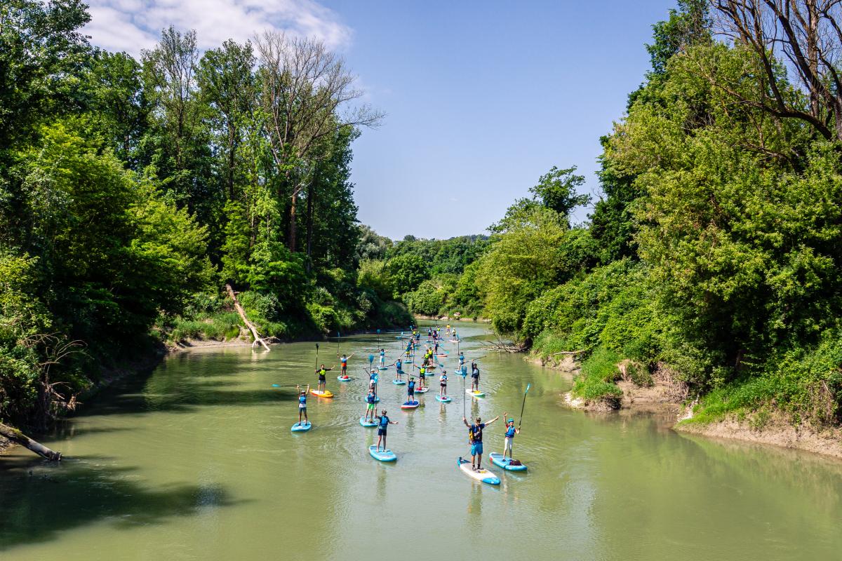 Auf einem Fluss sind mehrere Menschen mit SUPs unterwegs.