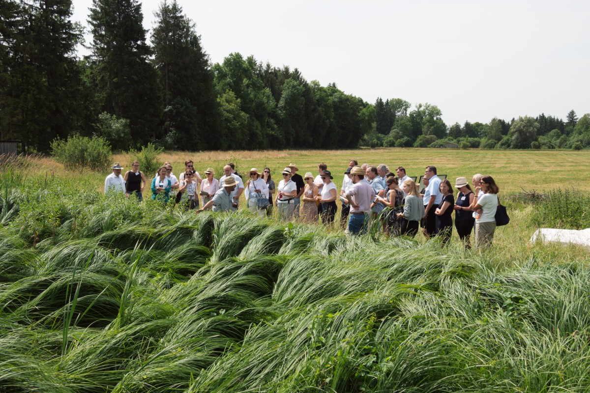 Eine Gruppe an Personen steht vor einem Feld mit hohem Gras.