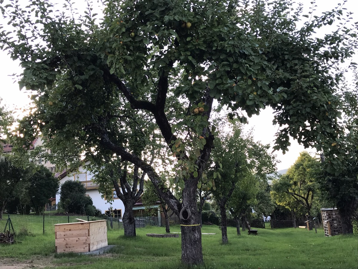 Die Streuobstwiese wurde aufgewertet.